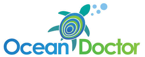 Ocean Doctor logo