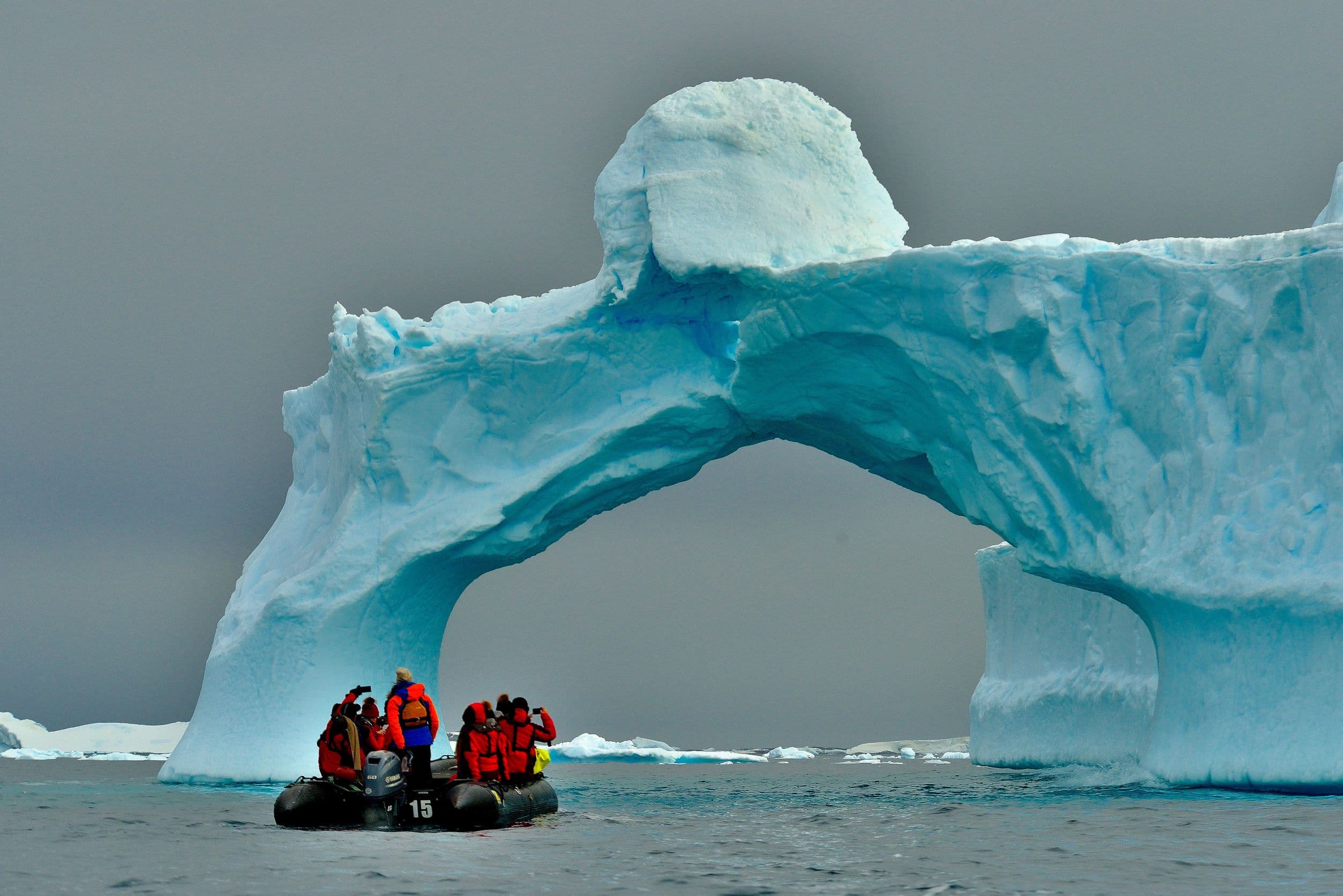 Thumbnail for: Scientists find microplastics in fresh Antarctic snow for the first time