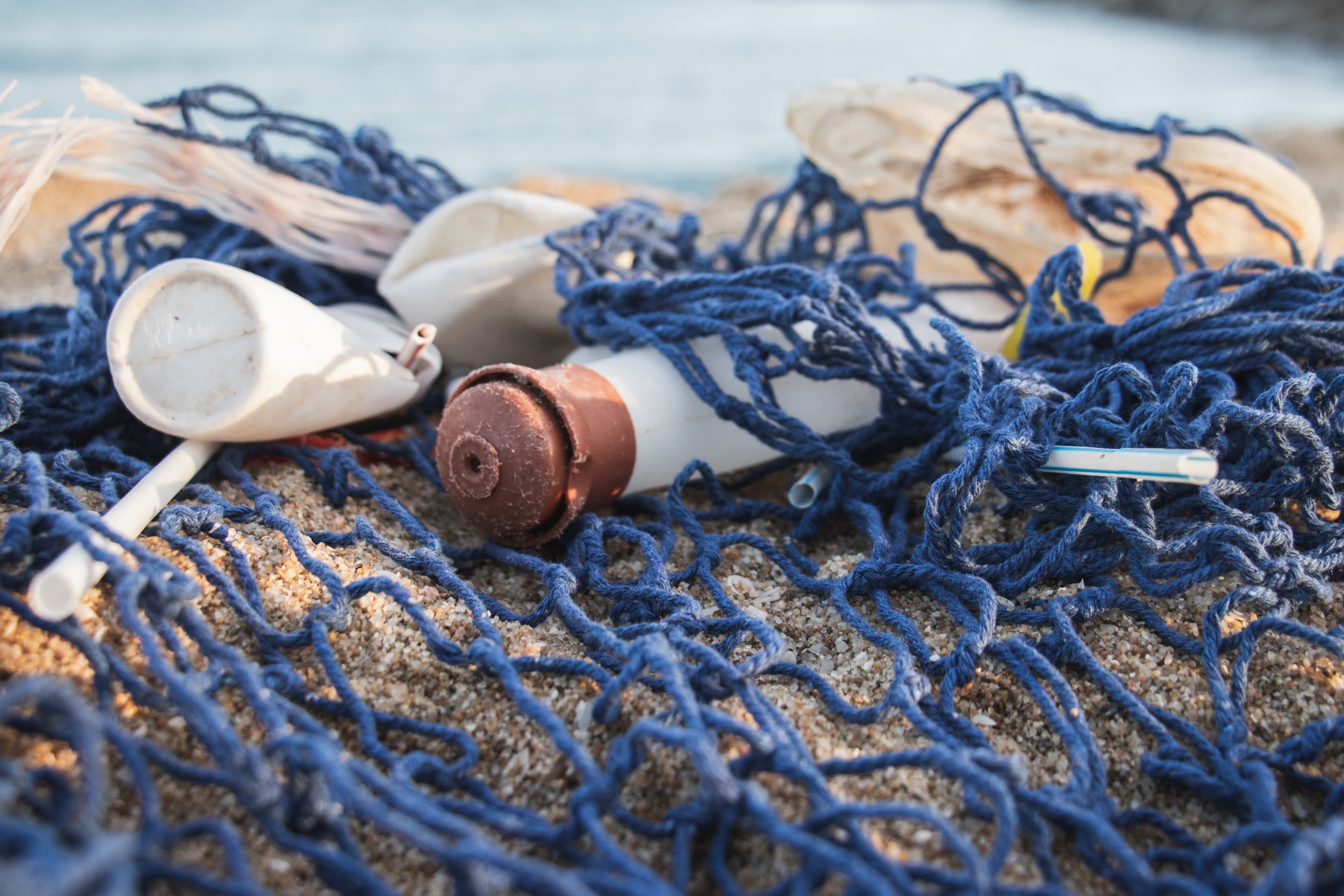 Thumbnail for: North Atlantic microplastic concentrations may exceed safe levels for marine lif