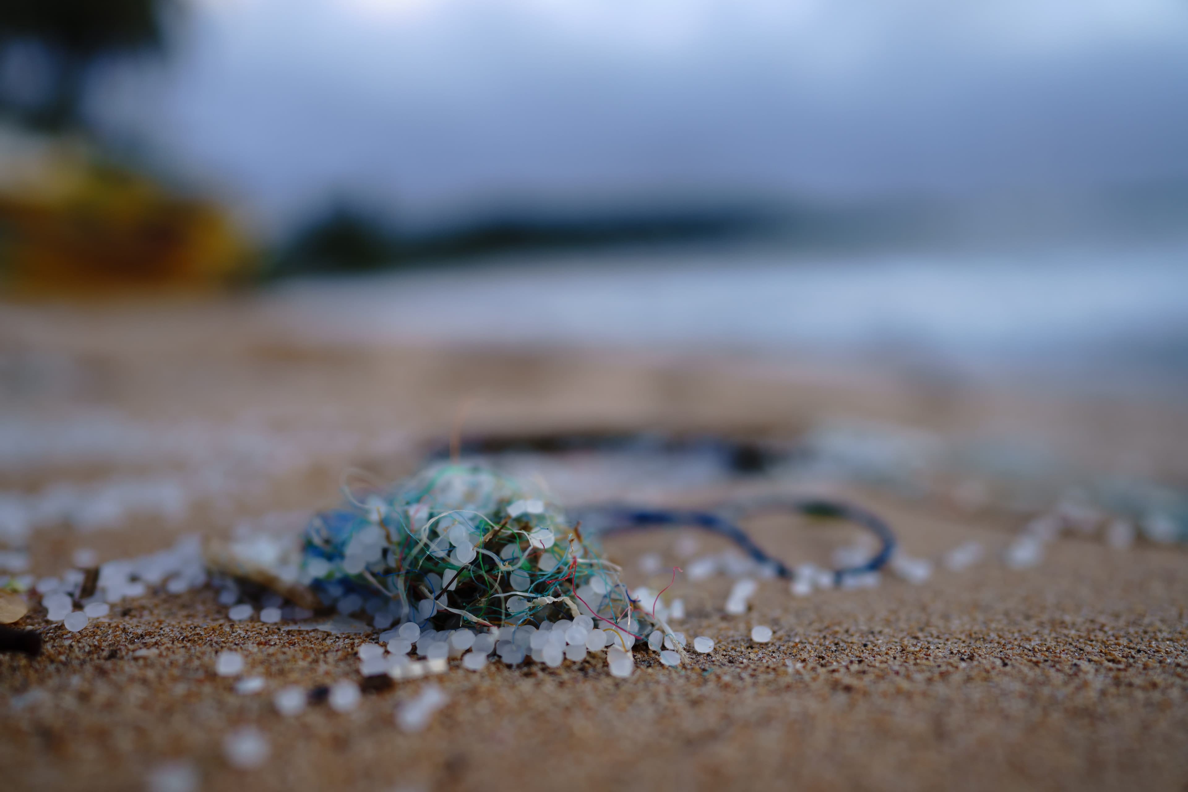 Thumbnail for: Microplastics Are Everywhere. Here's What You Can Do About It
