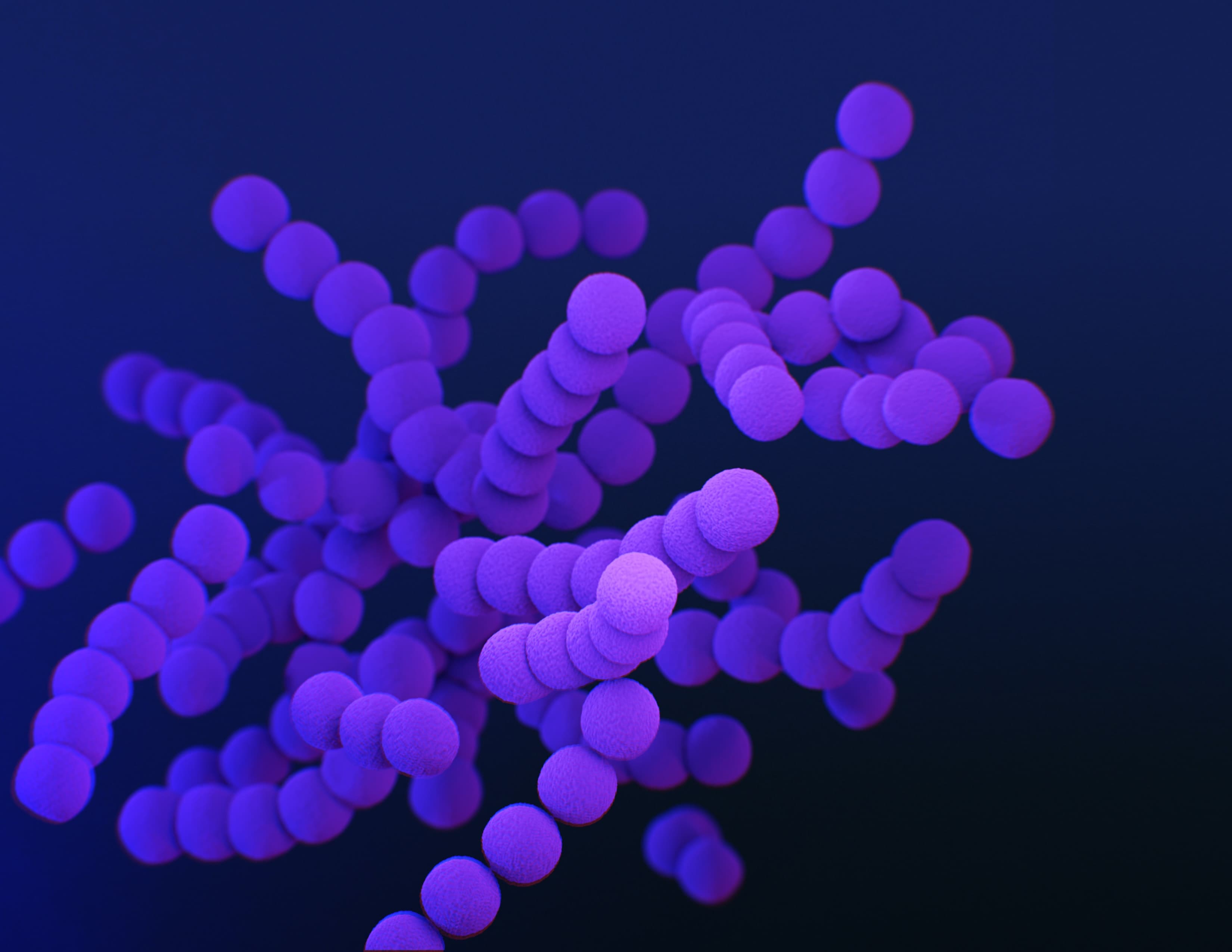 Thumbnail for: Pathogens Can Hitch a Ride on Plastic to Reach the Sea